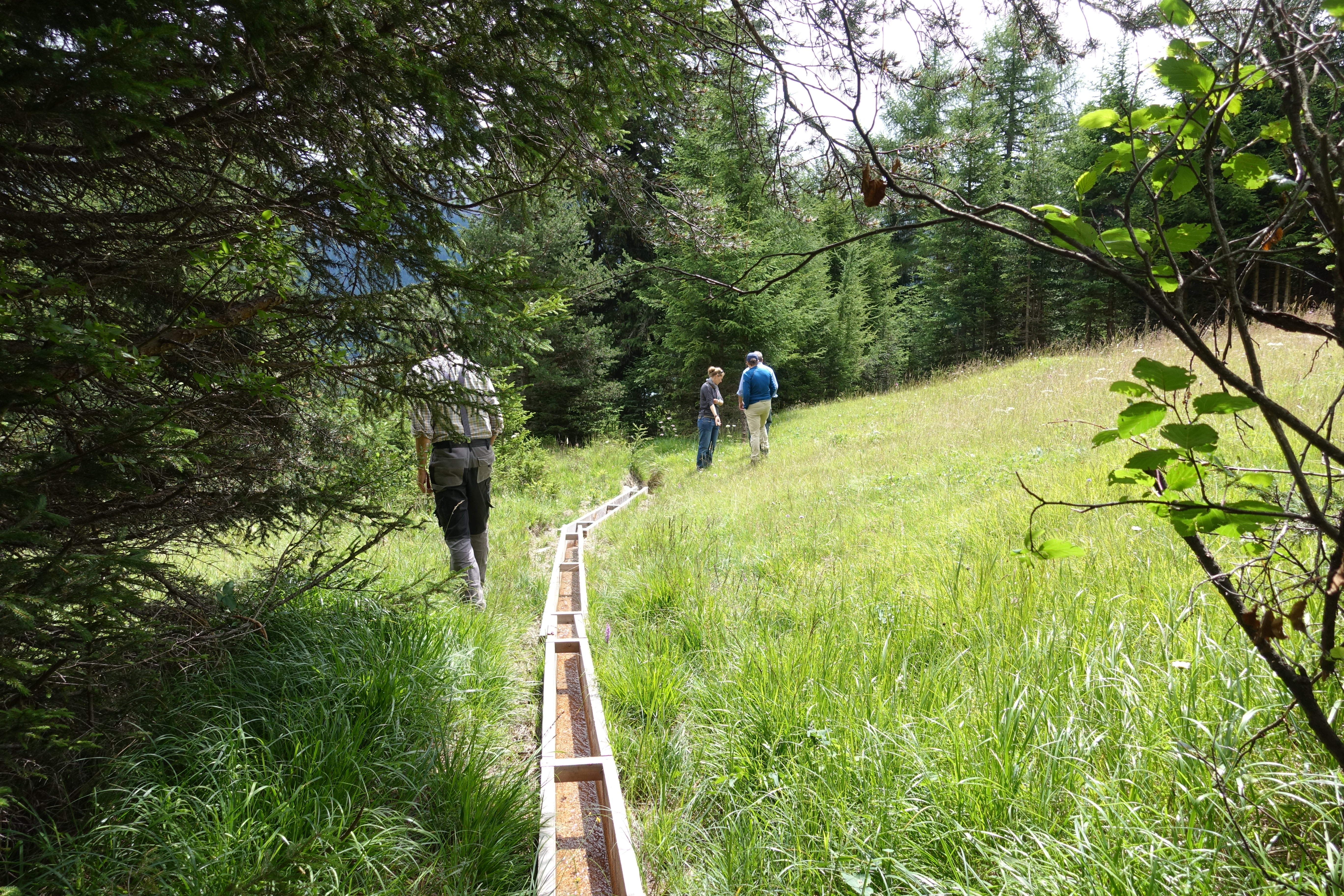 Bergell Landschaft mit traditioneller Bewässerung